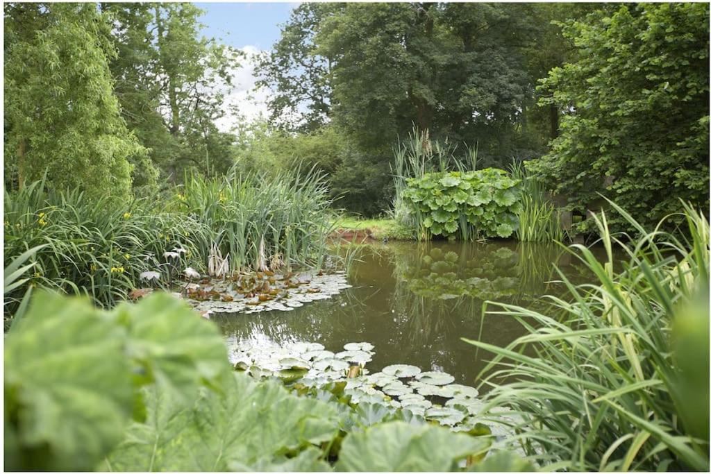 Ebony Cottage Tenbury Zewnętrze zdjęcie